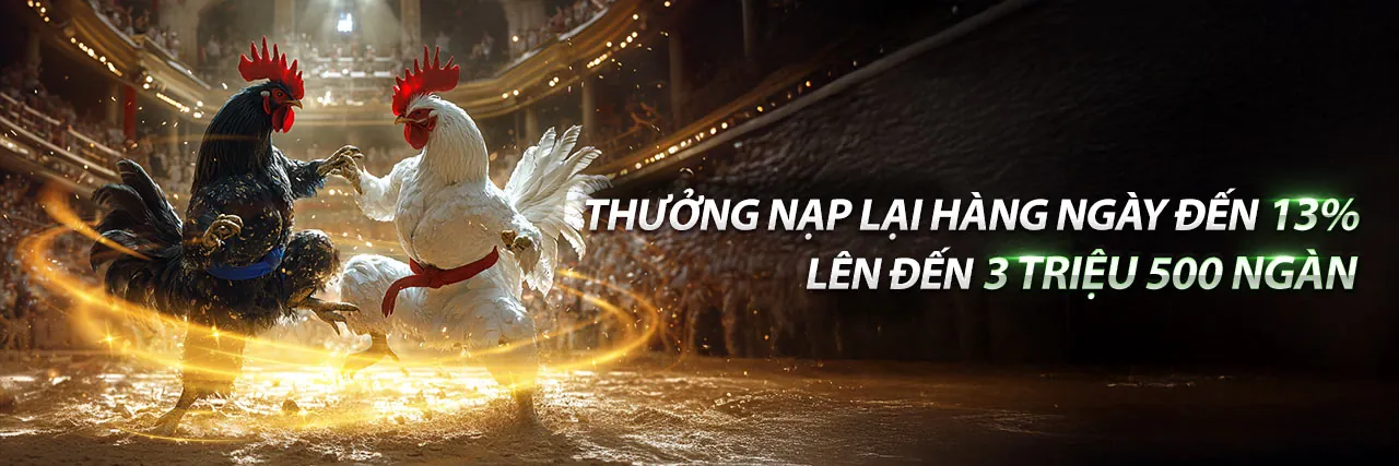 Đá Gà Trực Tiếp C4 Sống Động
